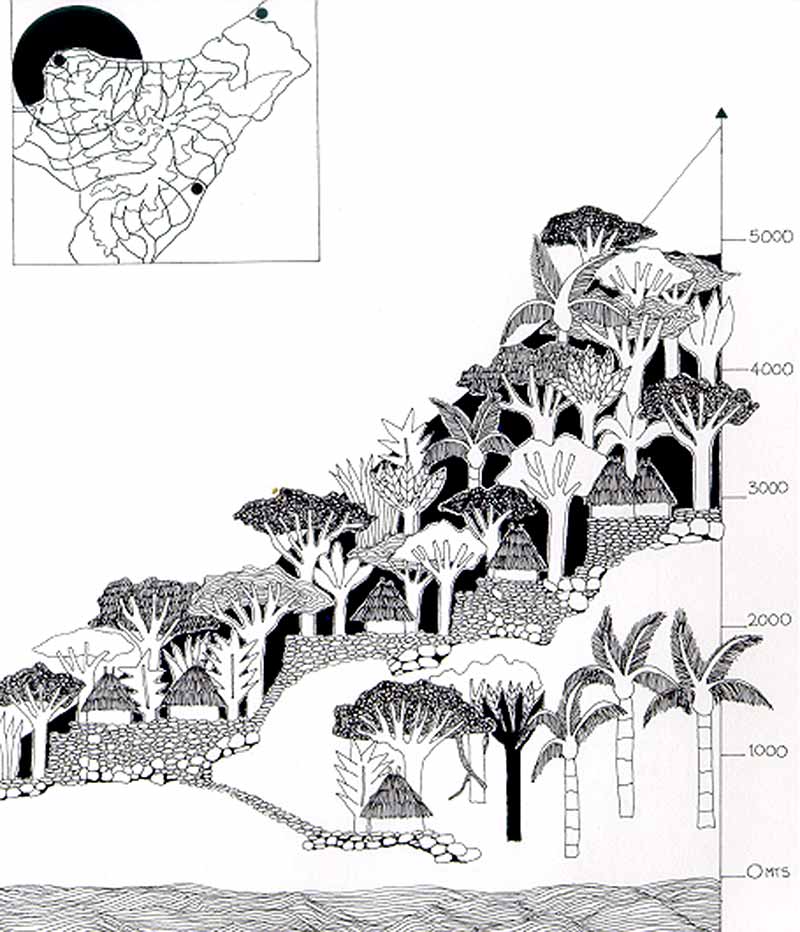 dibujospisosclimaticos2.jpg