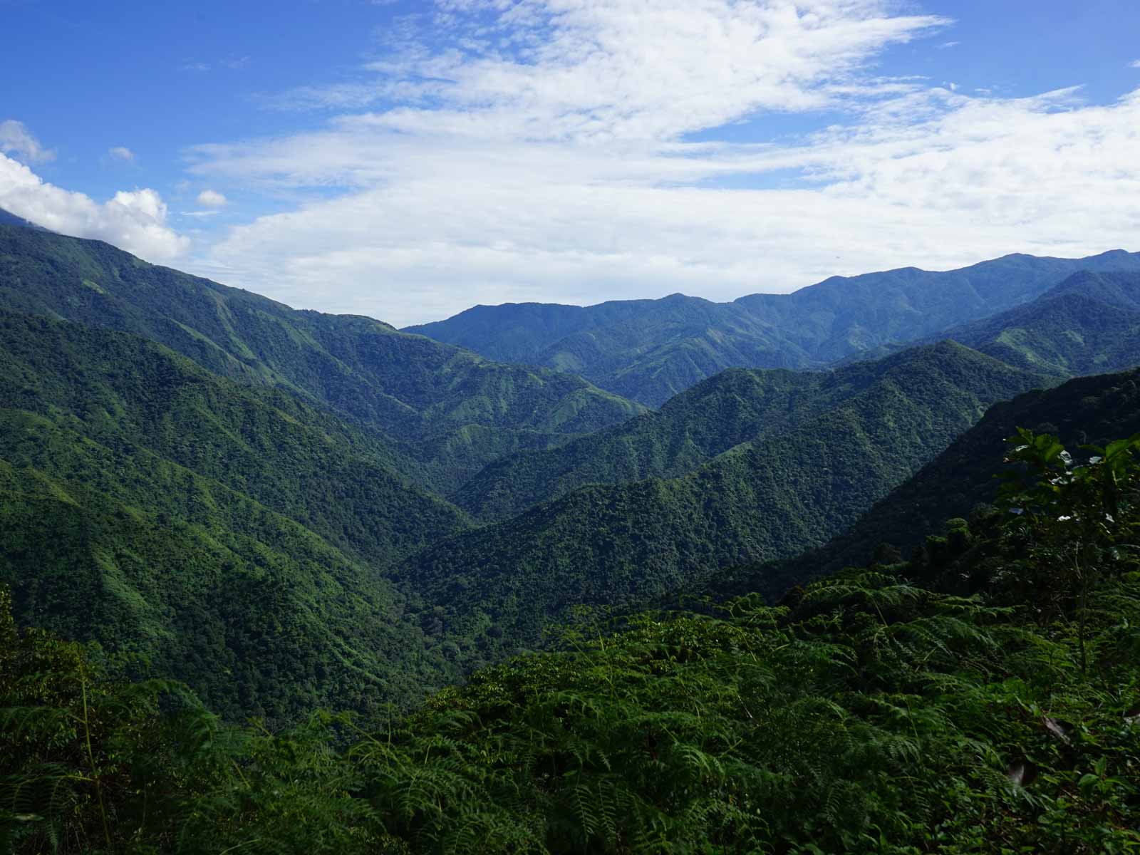 Río Frio