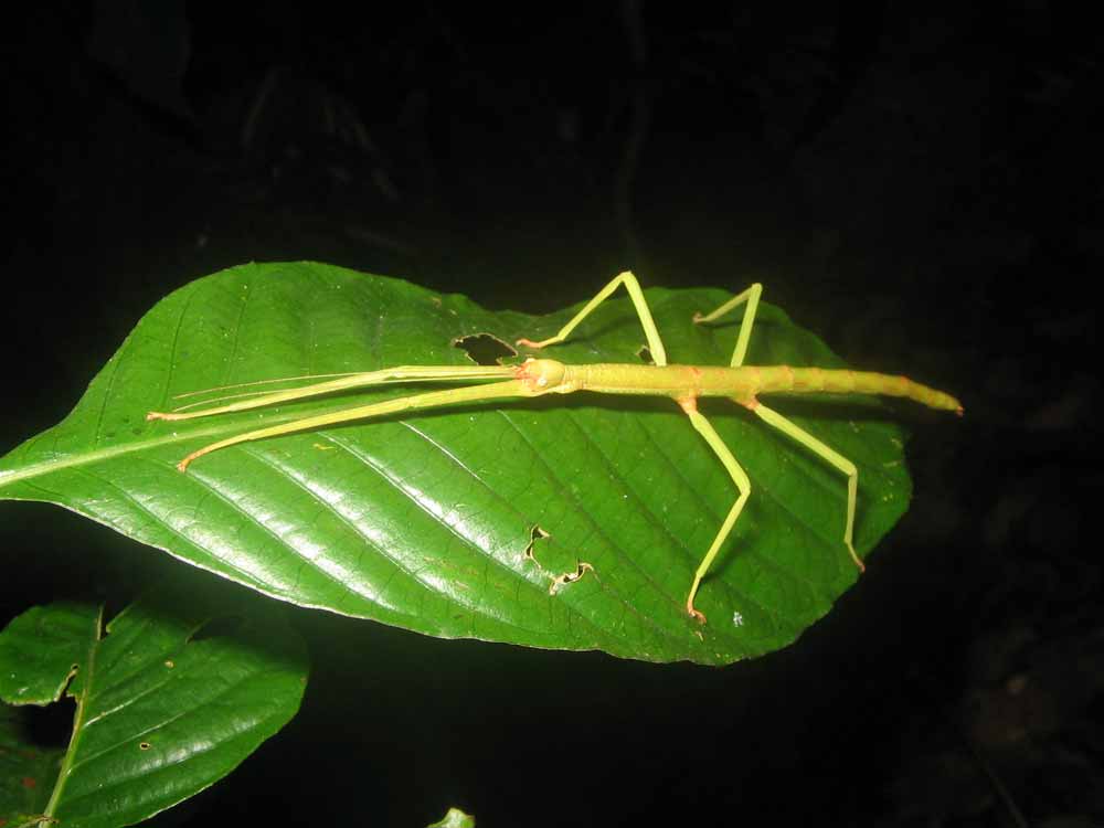 galeria6.jpg